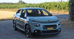 CitroenC300