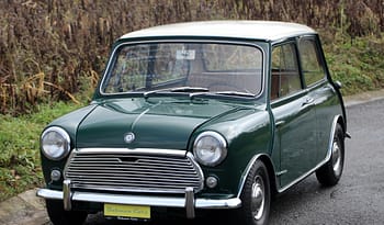 MINI Morris 1000 full